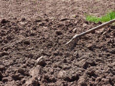 Manüel tarla. Toprağı ekime hazırlıyorum..