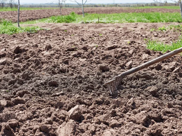 Manual tillage. Preparing the soil for planting.