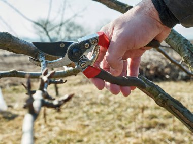Çiftçi bahçede aletlerle çalışıyor.. 