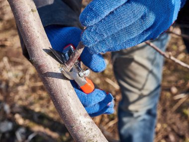 Çiftçi bahçede aletlerle çalışıyor.. 