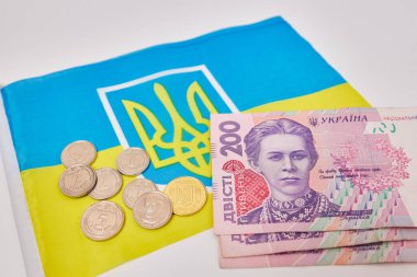 Ukrayna para birimi ve bayrağı 