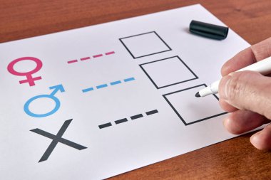 Kağıt üzerinde cinsiyet araştırması yapan genç bir kadın. 