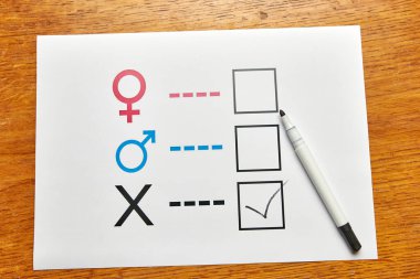 Kağıt üzerinde kalemle cinsiyet araştırması 