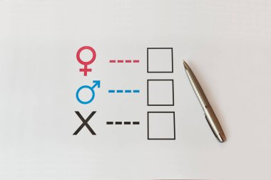 Kağıt üzerinde kalemle cinsiyet araştırması 