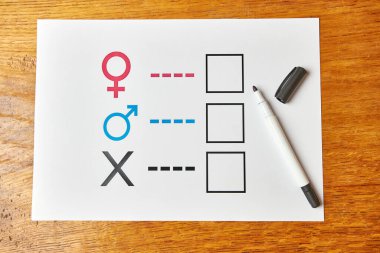 Kağıt üzerinde kalemle cinsiyet araştırması 