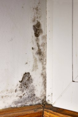 Stains of toxic mold and fungal bacteria on the wall in the corner near the door. Concept of condensation, moisture. Problems with ventilation. High humidity.