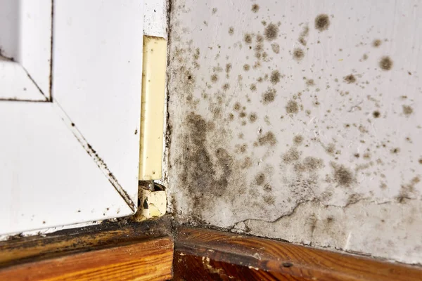 Stains of toxic mold and fungal bacteria on the wall in the corner near the door. Concept of condensation, moisture. Problems with ventilation. High humidity.
