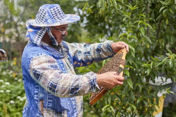 Beekeeper Honeycomb Working Garden — 스톡 사진