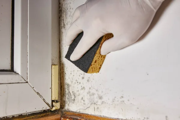 Man Remove Stains Toxic Mold Fungal Bacteria Wall Corner Door — Stock Photo, Image