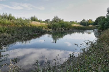 Nehirli güzel bir manzara 
