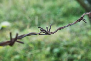 Bahçedeki dikenli teller 