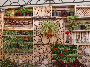 Odun yığını şeklinde bitkilerle dekoratif duvar..
