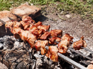 Açık ateşte et şişi pişirmek. Yaz tatili şehir dışında..