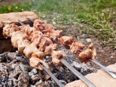 Açık ateşte et şişi pişirmek. Yaz tatili şehir dışında..