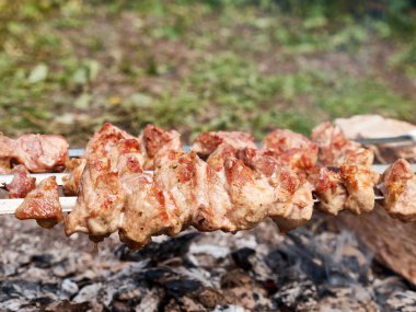 Açık ateşte et şişi pişirmek. Yaz tatili şehir dışında..
