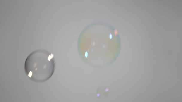 Burbujas Jabón Diferentes Tamaños Diferentes Direcciones Vuelan Sobre Fondo Gris — Vídeos de Stock