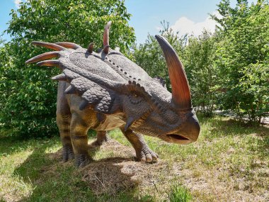 Vahşi doğada Styracosaurus dinozor modeli. Tarih öncesi bir hayvan türü..