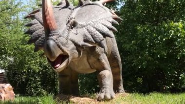 Vahşi doğada Styracosaurus dinozor modeli. Tarih öncesi bir hayvan türü..