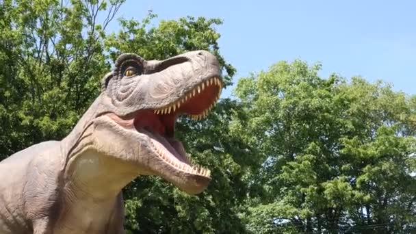 Tyrannosaurus Modelo Dinosaurio Naturaleza Una Especie Animales Prehistóricos — Vídeo de stock