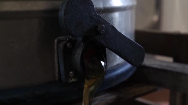 Μέλι Ρέει Από Την Κατσαρόλα Ένα Κόσκινο Για Καθαρισμό Παραγωγή — Αρχείο Βίντεο