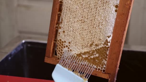 Honing Uit Kam Pompen Wordt Met Een Speciale Vork Gesneden — Stockvideo