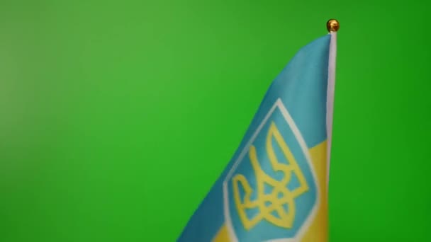 Flag Ukraine Flies Green Background — Vídeo de stock