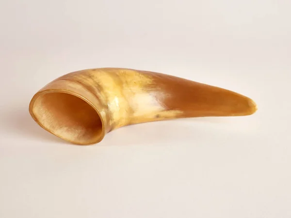 Cow Horn Trimmed Decorated Form Beauty White Background — Zdjęcie stockowe