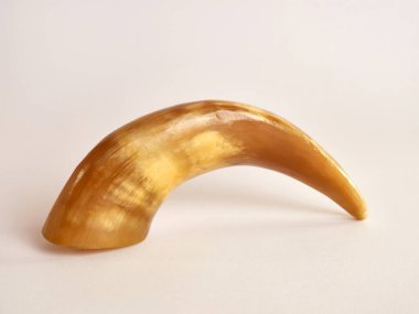 Cow horn trimmed and decorated in the form of beauty on a white background.