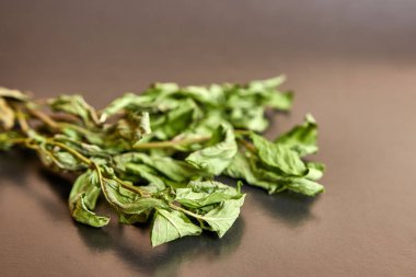 Mint sprigs are dried on paper until completely dry. Drying and storage of plants.