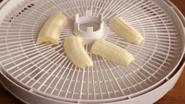 Fatias Banana São Colocadas Secador Elétrico Preparação Frutos Secos — Vídeo de Stock