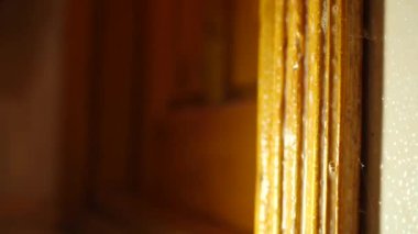 Küf ve mantar ahşap kapılardan kaldırılır. Odadaki nem sorunu..