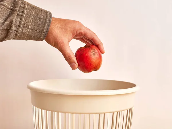 An expired apple is thrown away for disposal and recycling. Organic waste.