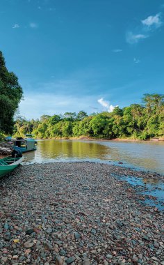 Parktaki nehrin güzel manzarası
