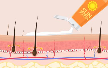 Güneş kremi kullanımına ilişkin cilt. Güneş kremi reklamı için vektör. Yaz koruma kremi.