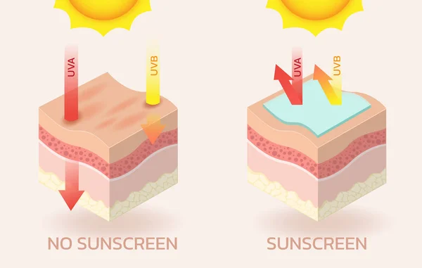 Güneş Kremi Kullanımına Ilişkin Cilt Güneş Kremi Reklamı Için Vektör — Stok Vektör