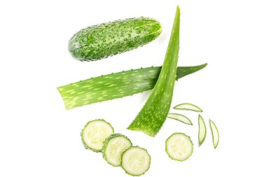 Beyaz arka planda salatalıklı yeşil aloe vera yaprağı