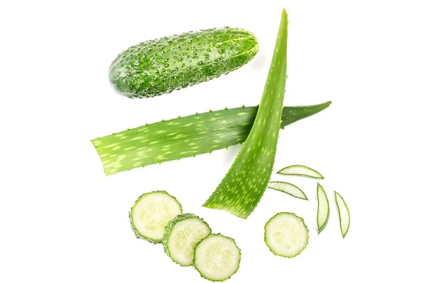 Green Fresh Aloe Vera Leaf Cucumber White Background — Foto de Stock