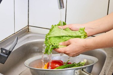 Şef akan suyun altında marul yapraklarını yıkar.