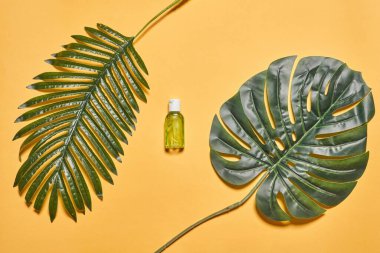 Bir şişe el dezenfektanı ve iki tropik palmiye yaprağı.