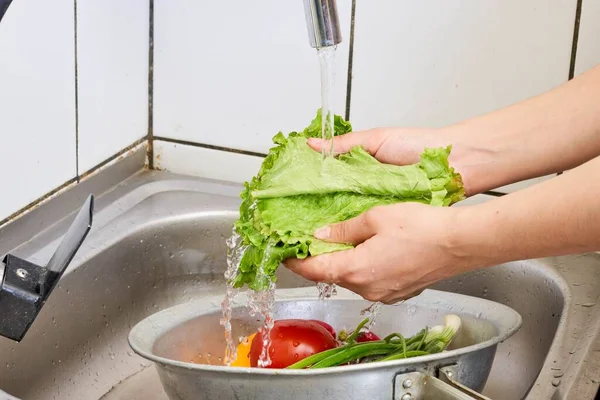 Şef akan suyun altında marul yapraklarını yıkar.