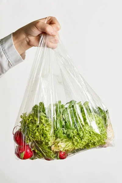 Hand Holds Bag Fresh Organic Vegetables Greens — Stock Fotó