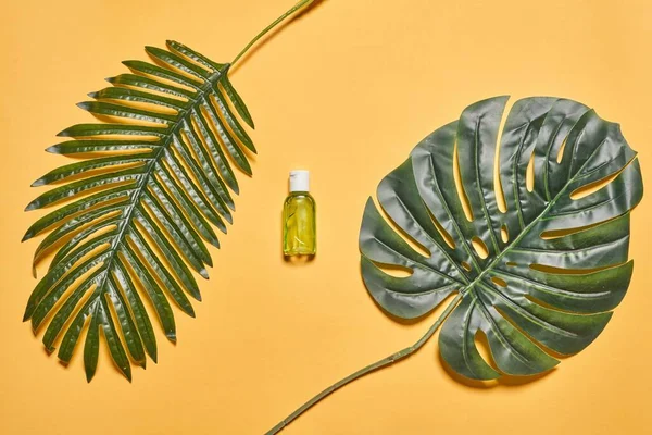 Bir şişe el dezenfektanı ve iki tropik palmiye yaprağı.