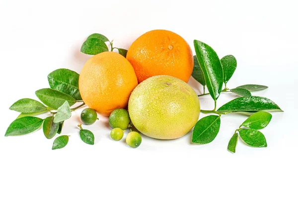Whole Ripe Citrus Fruits Branches — Foto de Stock