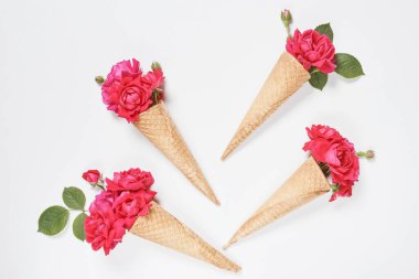Pembe çiçekli dondurma külahı ve beyaz arka planda yapraklar