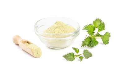 Isırgan tozu ve taze ısırgan otu