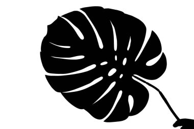 Büyük bir palmiye yaprağının silüeti.