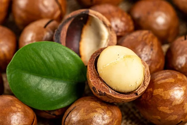 Background Ripe Macadamia Nuts Green Leaf — Photo