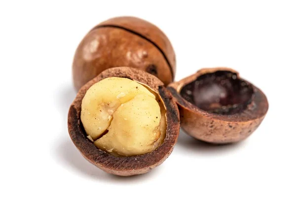 Whole Broken Macadamia Nut White — Photo