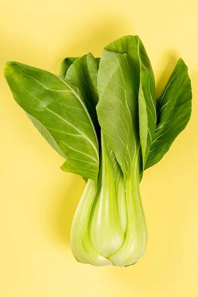 Fresh Raw Pak Choy Cabbage Yellow Background — Stock Photo, Image