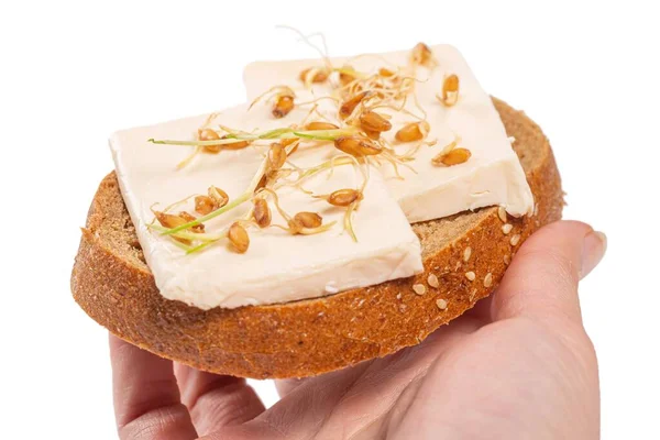 女性の手にチーズと発芽小麦のサンドイッチ — ストック写真